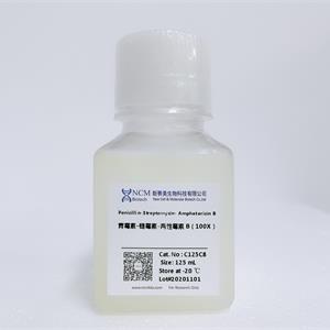 青霉素-链霉素-两性霉素 B（三抗100X），液体